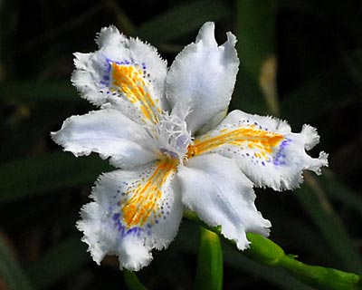 e0035757_2185790.jpg
