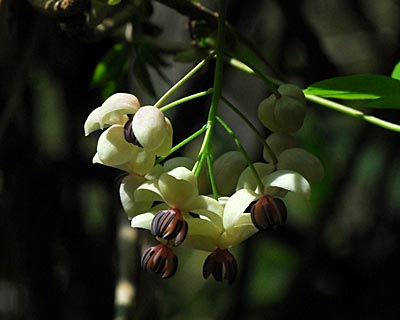 e0035757_2194256.jpg