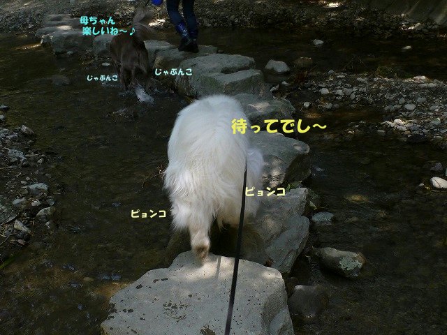 e0176159_14505429.jpg