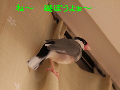 b0158061_2242830.jpg
