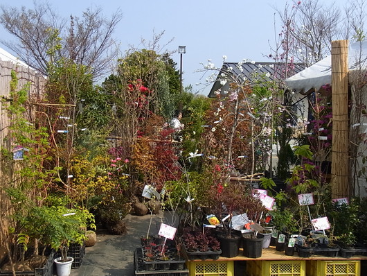 c0247861_2042157.jpg