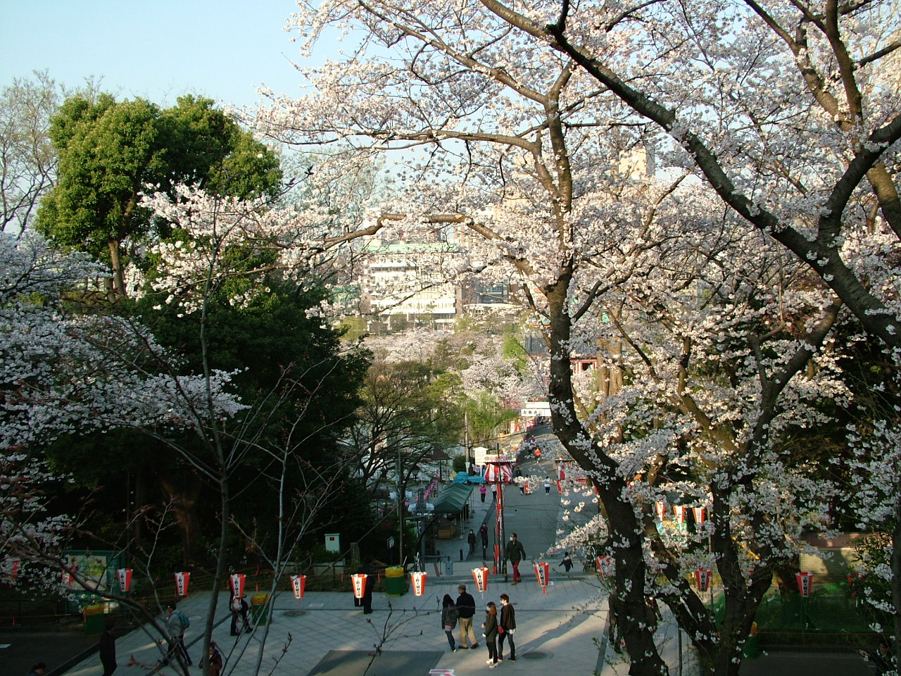 b0141970_20285495.jpg