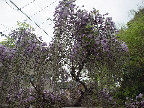 b0194872_2353113.jpg