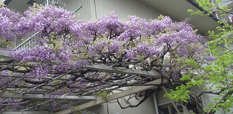 b0194872_2358213.jpg