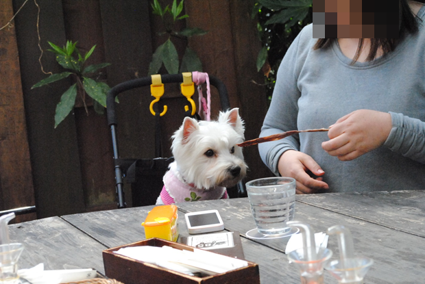b0242873_22115665.png