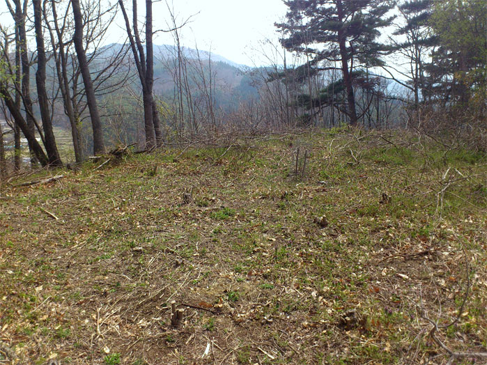 c0220374_729455.jpg