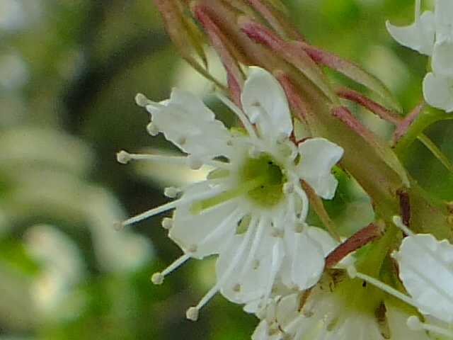 e0145782_20102298.jpg