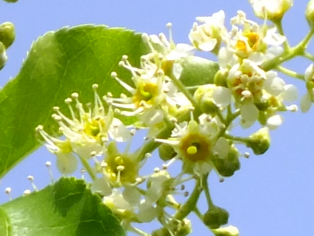 e0145782_20121877.jpg