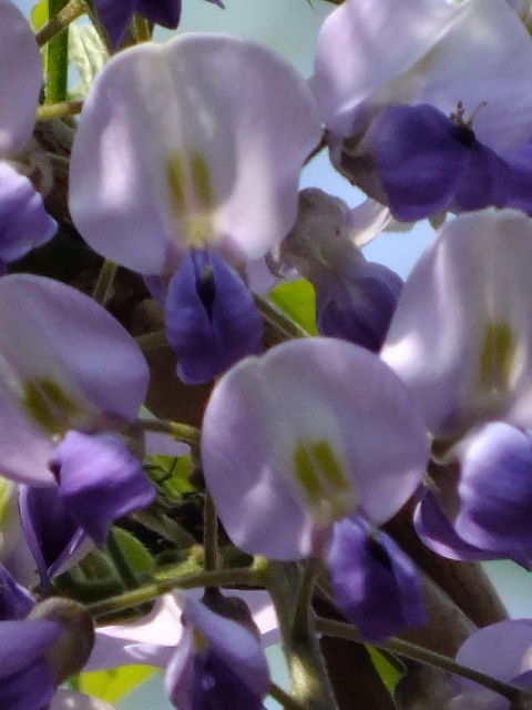 e0145782_20153824.jpg