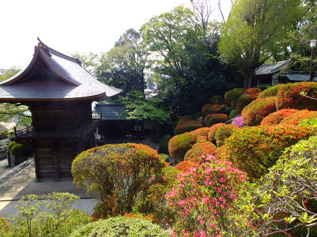 e0145782_2021887.jpg
