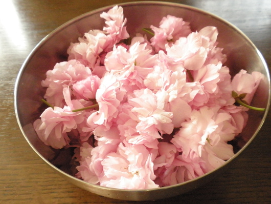 c0281888_902970.jpg