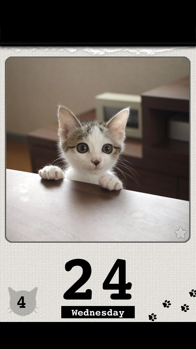 かれんにゃーLite 猫の日めくりカレンダー 4