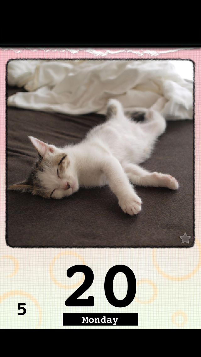 かれんにゃーLite 猫の日めくりカレンダー 2