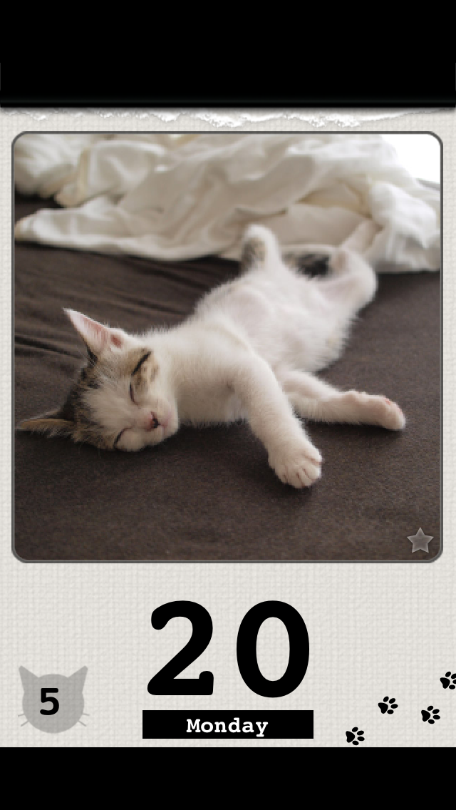 かれんにゃーLite 猫の日めくりカレンダー 1