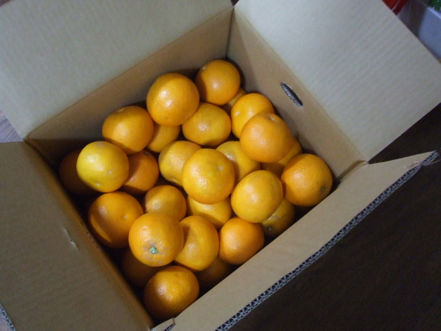 f0019498_18585558.jpg