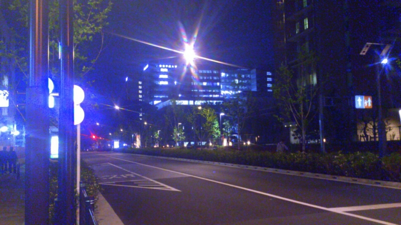 c0202101_8473974.jpg