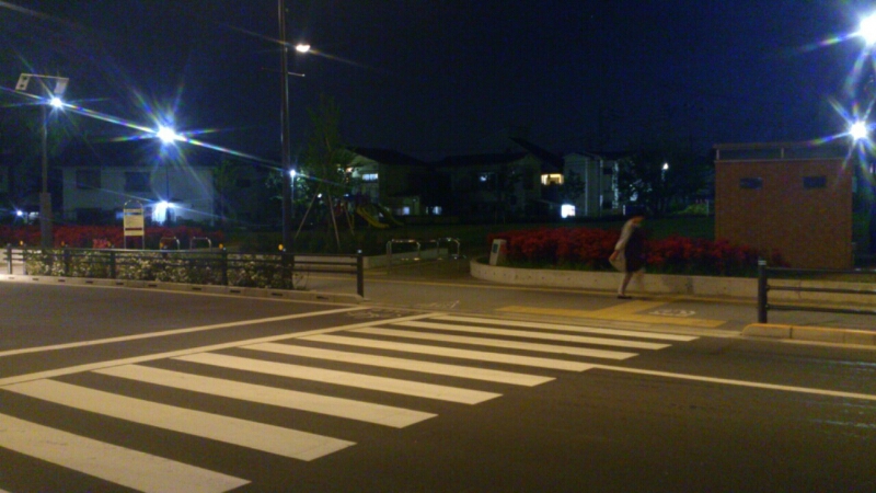 c0202101_8484080.jpg