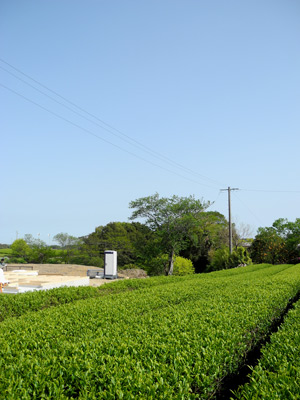 c0049902_22173270.jpg