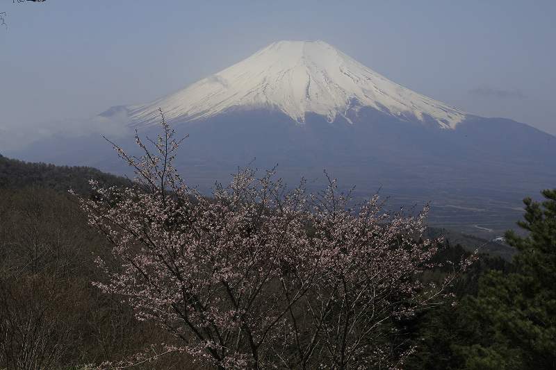 a0188405_20293278.jpg