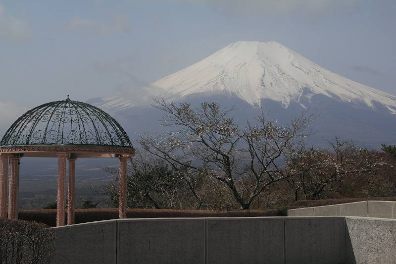 a0188405_20312076.jpg