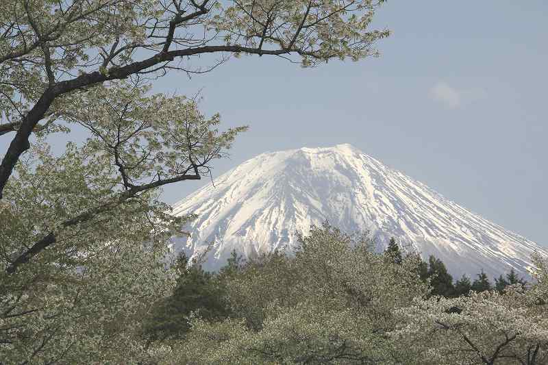 a0188405_20363345.jpg