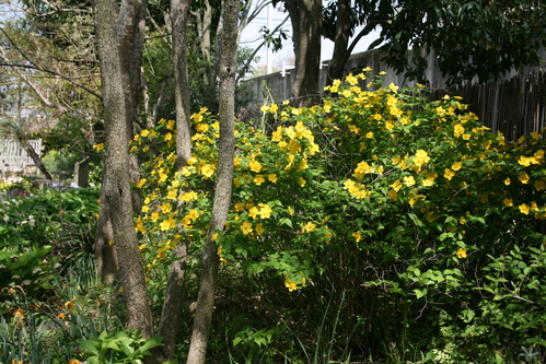 a0139007_1423018.jpg