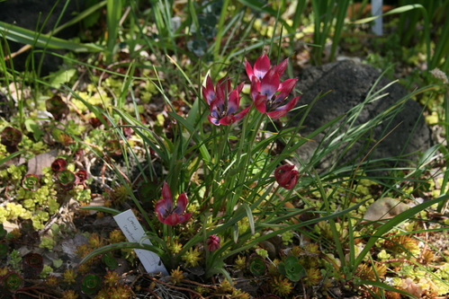a0139007_1432834.jpg