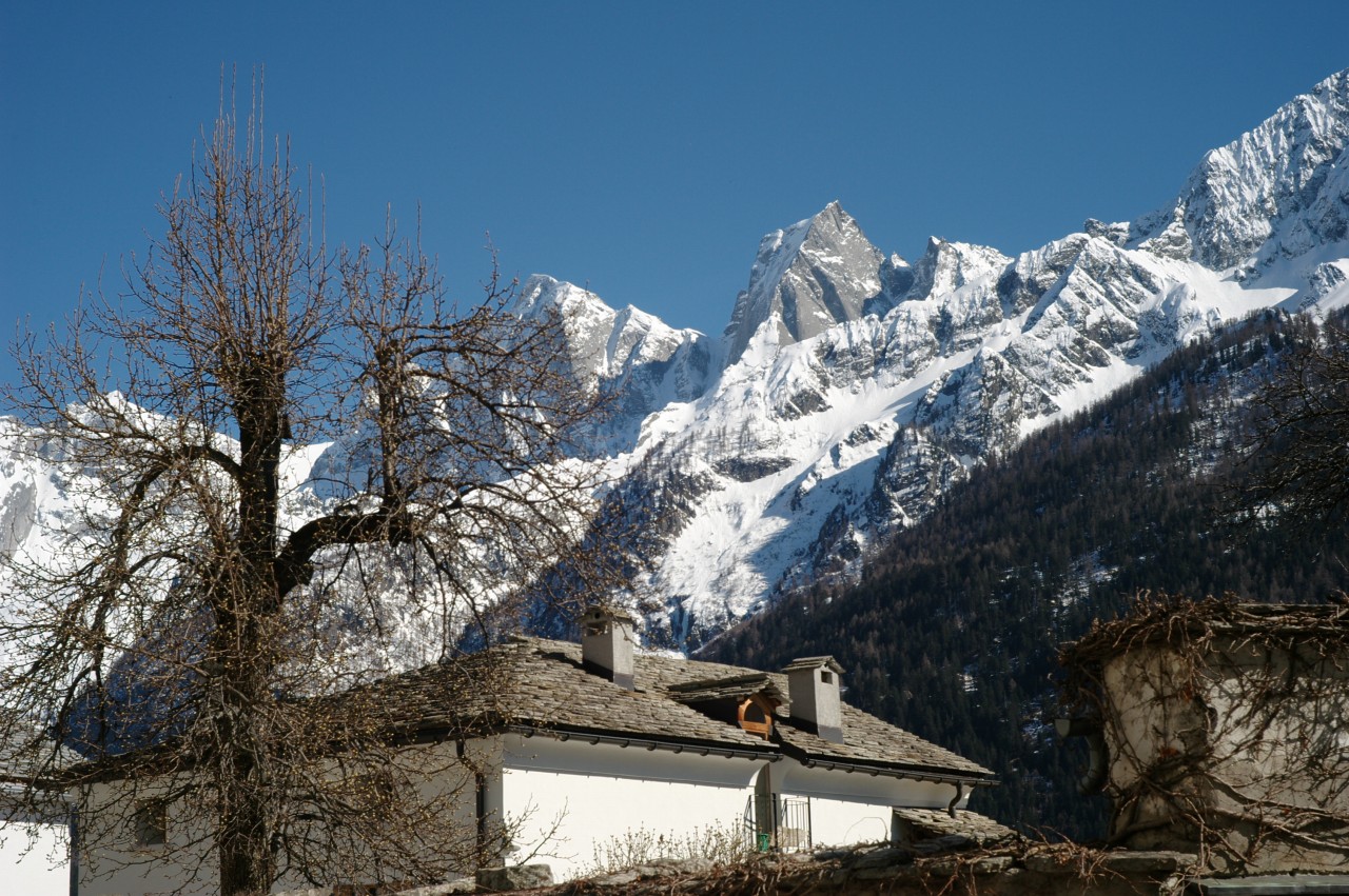 d0104210_2263966.jpg