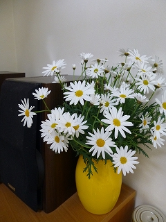 b0223711_9321535.jpg