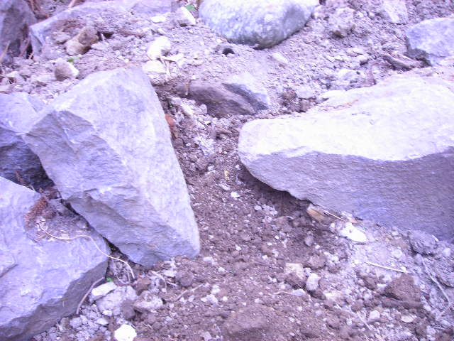 b0096418_13433487.jpg