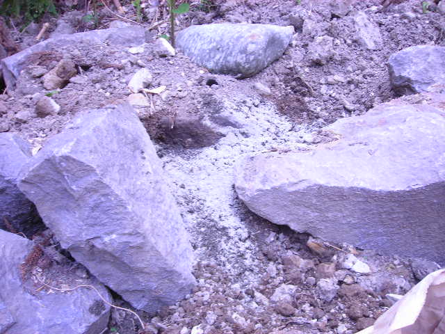 b0096418_13441288.jpg