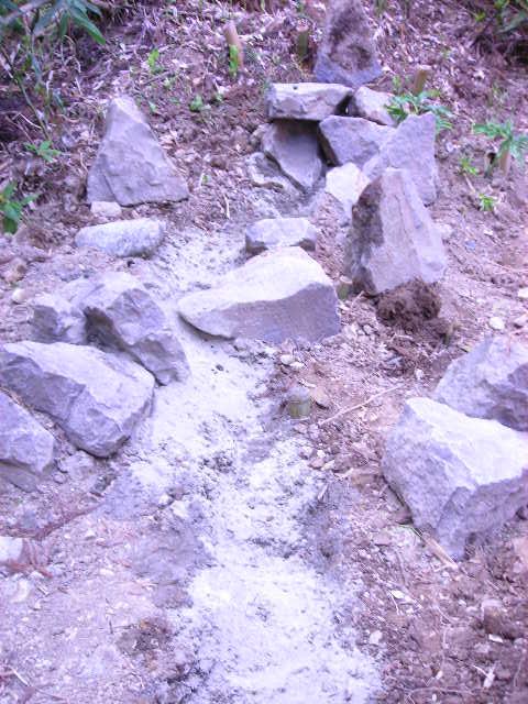 b0096418_1350022.jpg