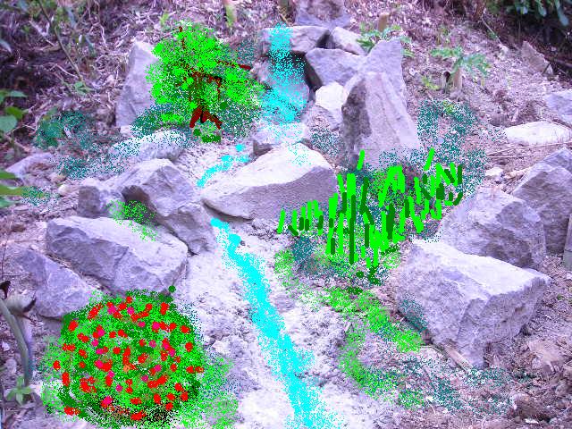 b0096418_135242100.jpg
