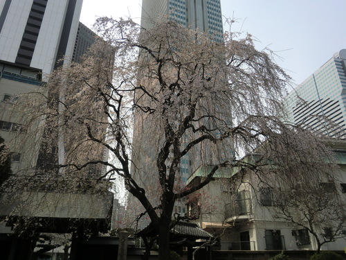 c0095424_1614695.jpg