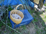 f0188324_7383221.jpg