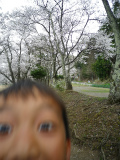 f0188324_8161031.jpg