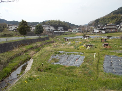 f0111128_2357374.jpg