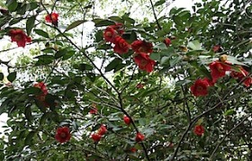 c0240132_622824.jpg