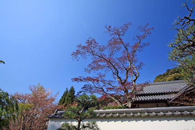 a0242438_19435040.jpg