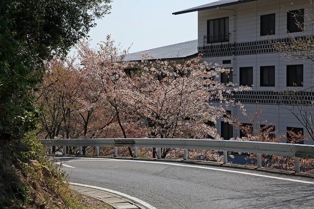 a0242438_1947531.jpg
