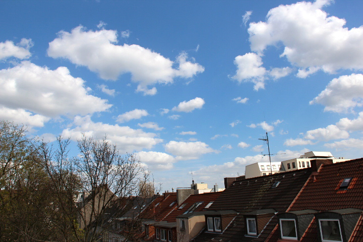 c0153740_23122939.jpg