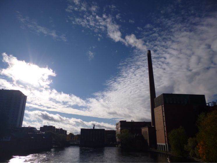 b0243443_19593841.jpg
