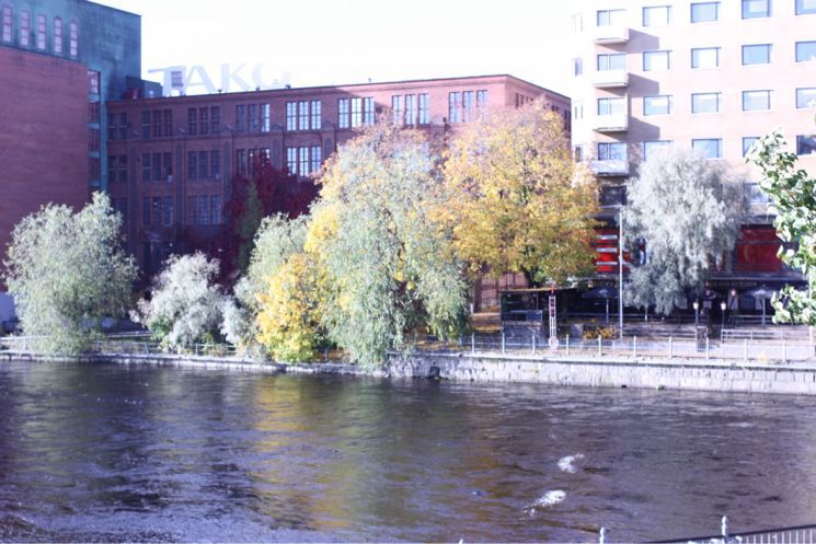 b0243443_19593997.jpg