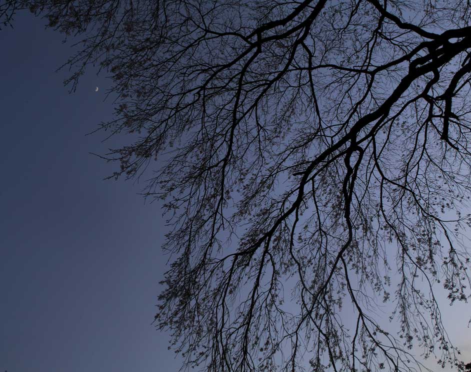 d0177549_196301.jpg
