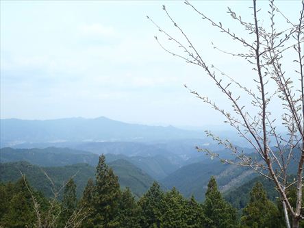 e0044657_2384834.jpg