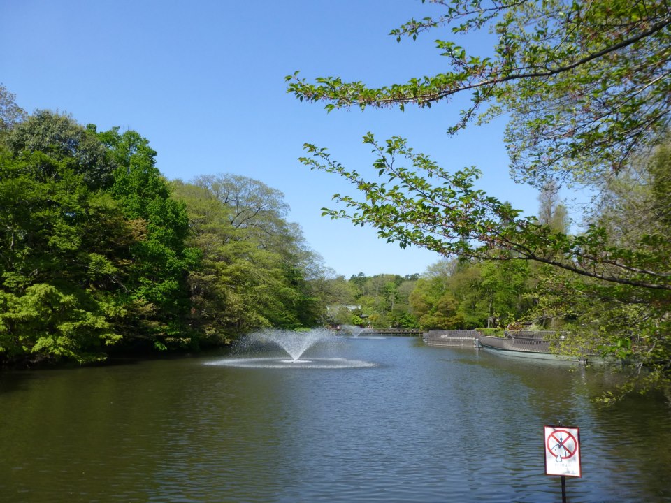 c0100865_5511160.jpg