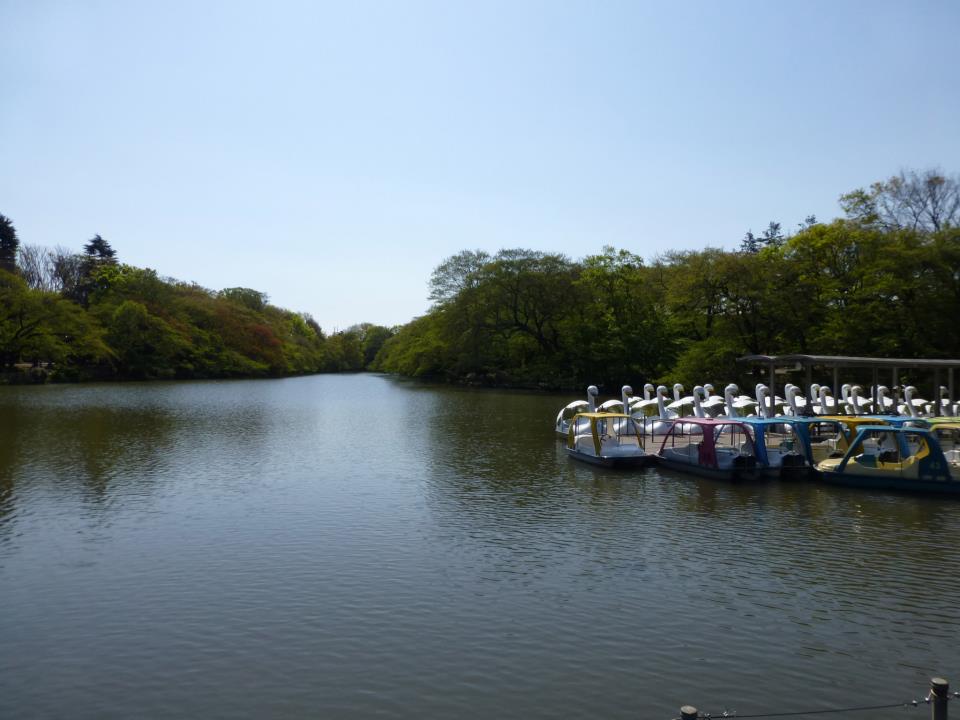 c0100865_5521210.jpg