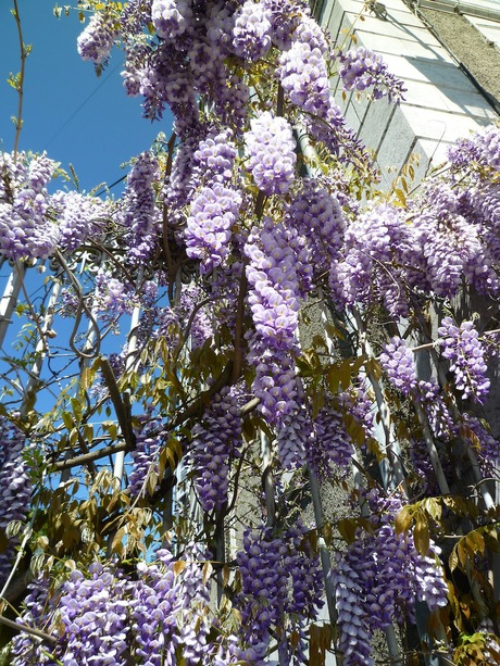 f0241468_1840143.jpg