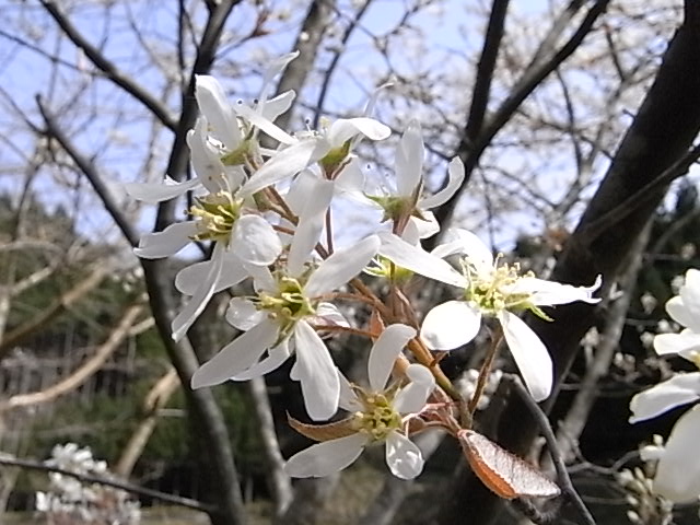a0146070_75930.jpg