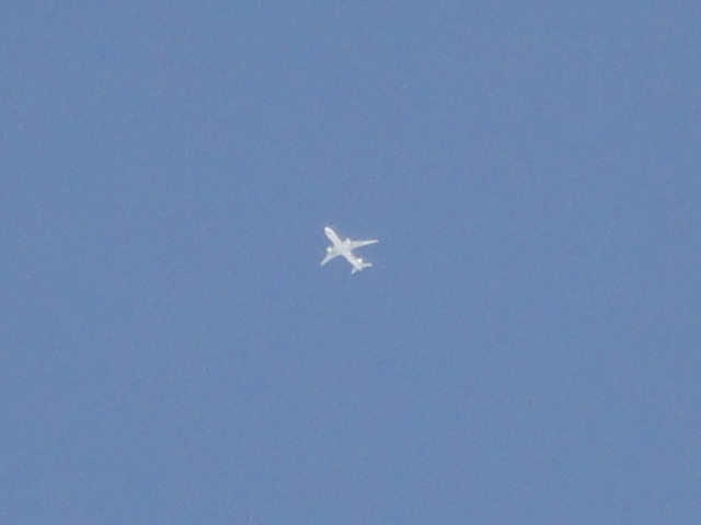 d0109373_21193068.jpg